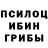 Галлюциногенные грибы Psilocybine cubensis Richi NZ