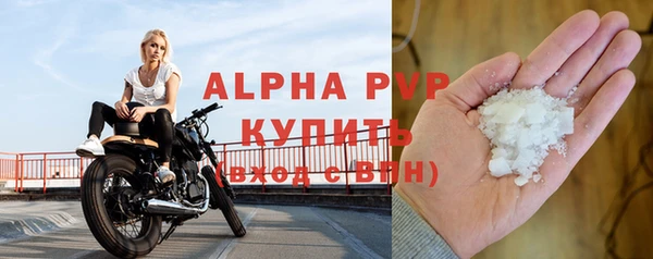 дмт Богданович