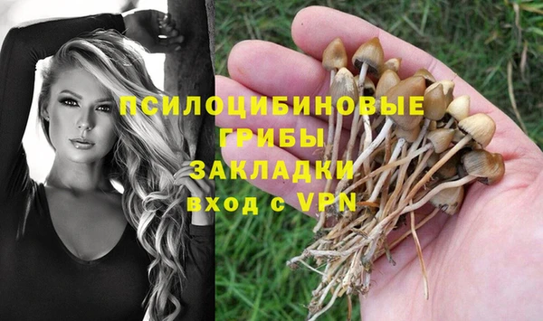 Альфа ПВП Богородск