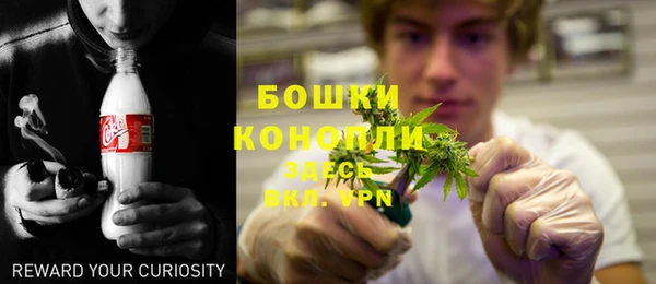 хмурый Бронницы