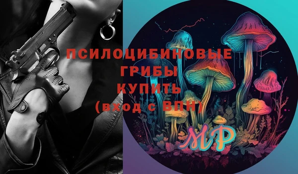 гидра Бородино