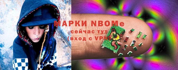 дмт Богданович