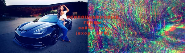 дмт Богданович