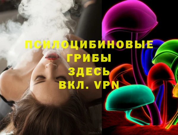 хмурый Бронницы