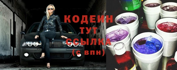 гидра Бородино