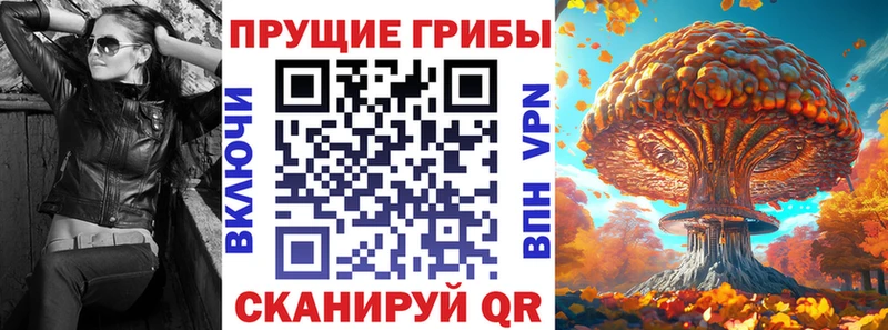 Галлюциногенные грибы мицелий  мориарти Telegram  Невинномысск 